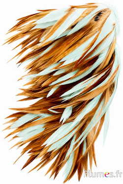 Franje haan - lengte veren 10-15 cm - watergroen-bruin